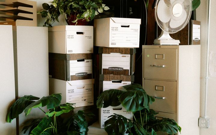 Büroecke mit gepackten Kartons und Pflanzen vor dem Firmenumzug
